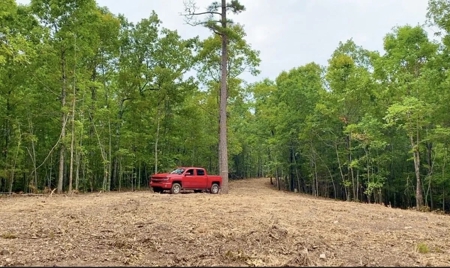 22.4 secluded acres located outside of Salem, Arkansas - image 2