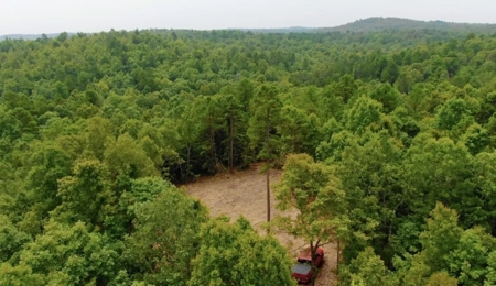 22.4 secluded acres located outside of Salem, Arkansas - image 3