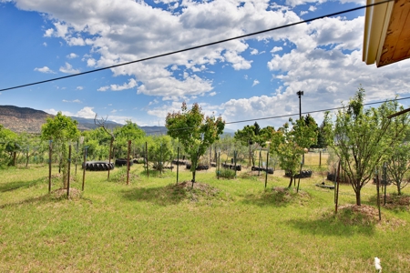 Home, Acreage, Irrigation with amazing Views For Sale in CO - image 26
