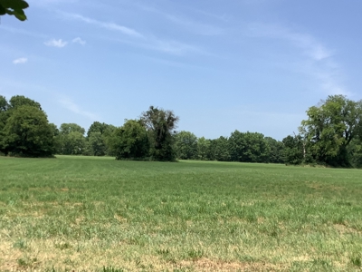 Country Home For Sale on 18 Acres - image 7