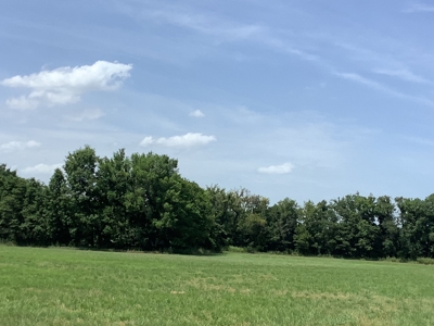 Country Home For Sale on 18 Acres - image 18