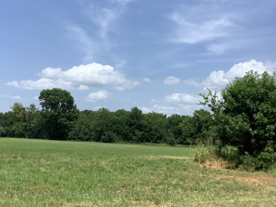 Country Home For Sale on 18 Acres - image 8
