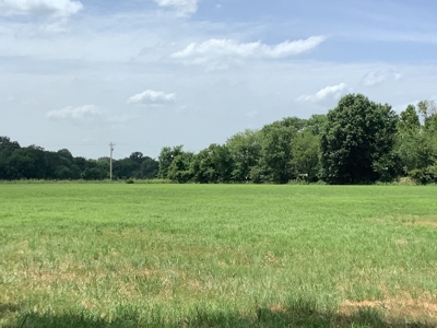 Country Home For Sale on 18 Acres - image 19