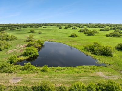 Hay Farm & Ranch In San Patricio County - Rustic Barn Ranch - image 12