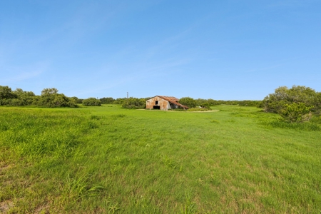 Hay Farm & Ranch In San Patricio County - Rustic Barn Ranch - image 5