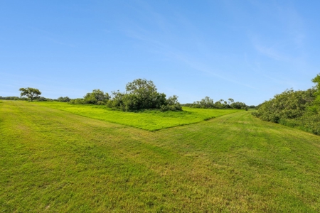 Hay Farm & Ranch In San Patricio County - Rustic Barn Ranch - image 7