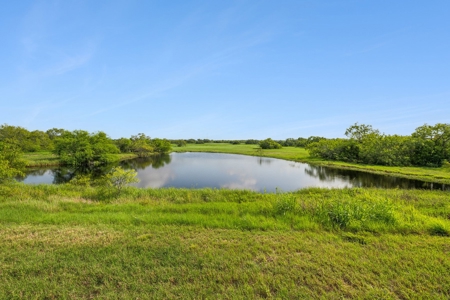 Hay Farm & Ranch In San Patricio County - Rustic Barn Ranch - image 2