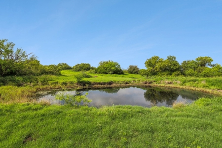 Hay Farm & Ranch In San Patricio County - Rustic Barn Ranch - image 9
