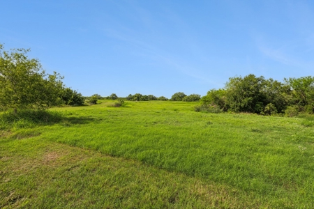 Hay Farm & Ranch In San Patricio County - Rustic Barn Ranch - image 4