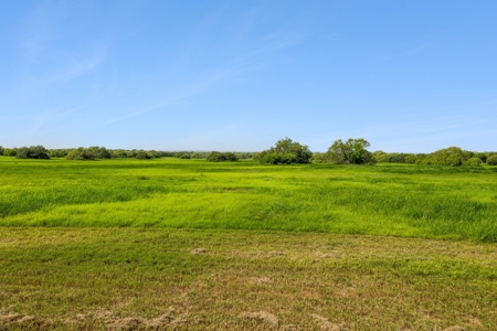 Hay Farm & Ranch In San Patricio County - Rustic Barn Ranch - image 3