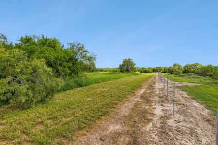 Hay Farm & Ranch In San Patricio County - Rustic Barn Ranch - image 10