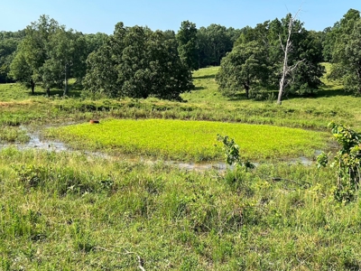 Vacant Land | Acreage in Fulton County, Arkansas - image 13