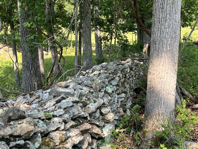 Vacant Land | Acreage in Fulton County, Arkansas - image 9