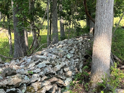 Vacant Land | Acreage in Fulton County, Arkansas - image 10