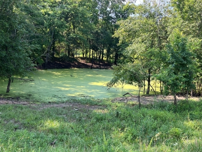 Vacant Land | Acreage in Fulton County, Arkansas - image 7