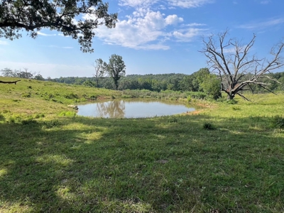 Vacant Land | Acreage in Fulton County, Arkansas - image 14