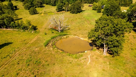 Vacant Land | Acreage in Fulton County, Arkansas - image 3