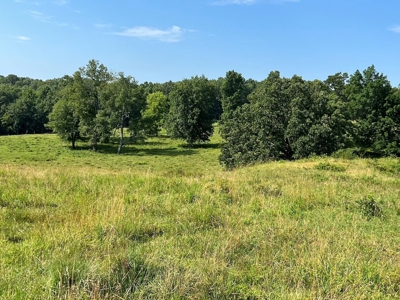 Vacant Land | Acreage in Fulton County, Arkansas - image 12
