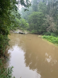 50 Acres of Prime Tillable and Woodland in Franklin, IN - image 19