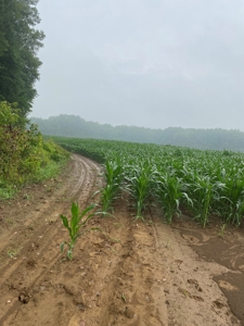 50 Acres of Prime Tillable and Woodland in Franklin, IN - image 6