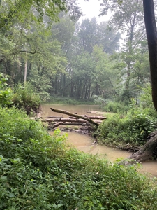 50 Acres of Prime Tillable and Woodland in Franklin, IN - image 22