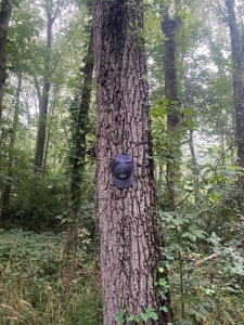 50 Acres of Prime Tillable and Woodland in Franklin, IN - image 26