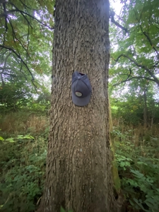 50 Acres of Prime Tillable and Woodland in Franklin, IN - image 30