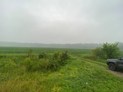 50 Acres of Prime Tillable and Woodland in Franklin, IN - image 10