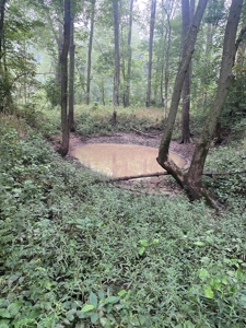 50 Acres of Prime Tillable and Woodland in Franklin, IN - image 14