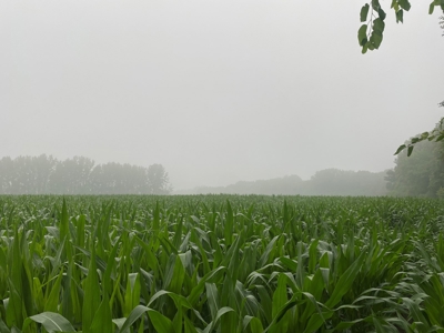 50 Acres of Prime Tillable and Woodland in Franklin, IN - image 1