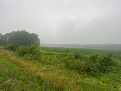 50 Acres of Prime Tillable and Woodland in Franklin, IN - image 11