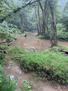 50 Acres of Prime Tillable and Woodland in Franklin, IN - image 16