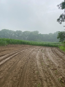 50 Acres of Prime Tillable and Woodland in Franklin, IN - image 7