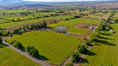 Hotchkiss CO Country Home for Sale has Irrigated Acreage - image 20