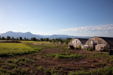 Hotchkiss CO Country Home for Sale has Irrigated Acreage - image 2