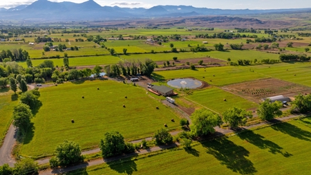 Hotchkiss CO Country Home for Sale has Irrigated Acreage - image 23