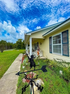 Dream home near the serene Suwannee River in Old Town - image 8