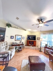 Dream home near the serene Suwannee River in Old Town - image 17