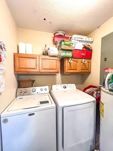 Dream home near the serene Suwannee River in Old Town - image 25