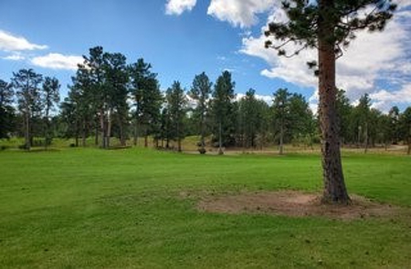 Golfing in Paradise - image 5