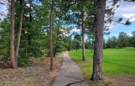 Golfing in Paradise - image 6