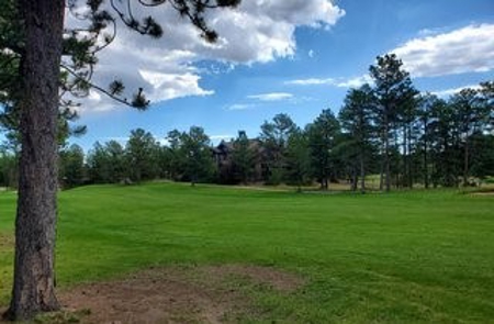 Golfing in Paradise - image 4