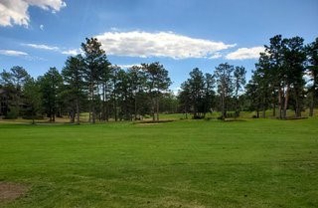Golfing in Paradise - image 3