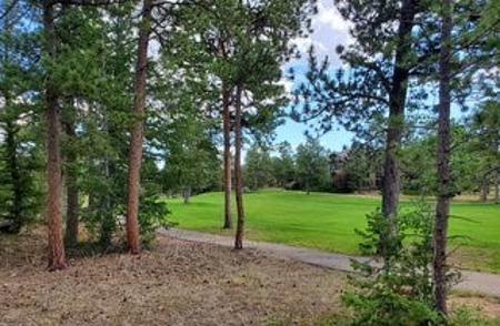 Golfing in Paradise - image 16