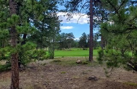 Golfing in Paradise - image 2