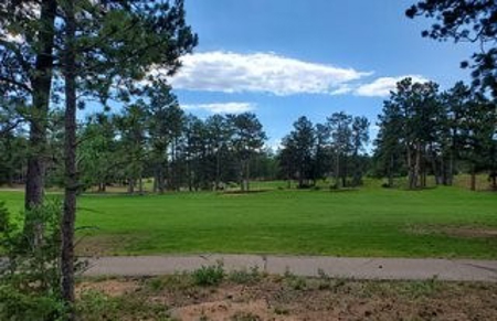 Golfing in Paradise - image 1