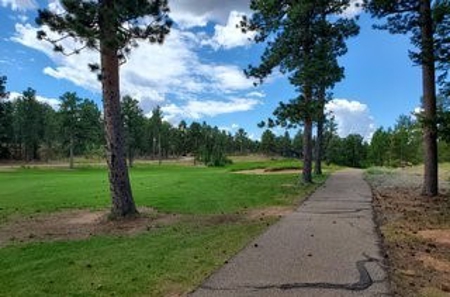 Golfing in Paradise - image 7
