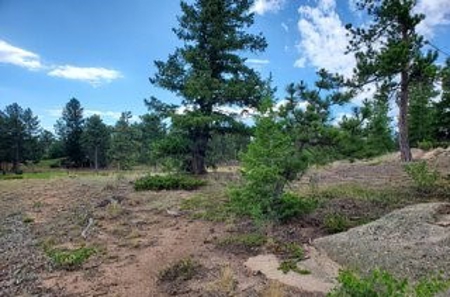 A Beautiful Lot in Fox Acres Country Club - image 9