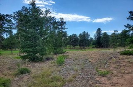 A Beautiful Lot in Fox Acres Country Club - image 7
