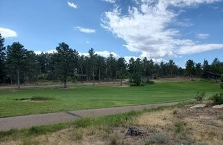 A Beautiful Lot in Fox Acres Country Club - image 11